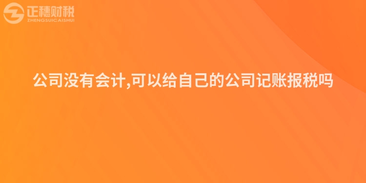 公司没有会计,可以给自己的公司记账报税吗