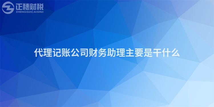 代理记账公司财务助理主要是干什么