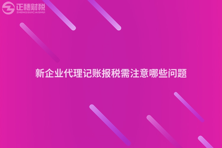 新企业代理记账报税需注意哪些问题