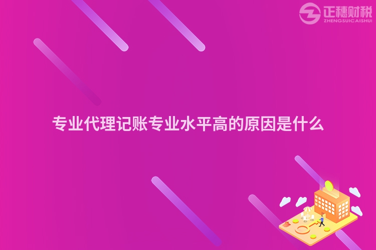 专业代理记账专业水平高的原因是什么