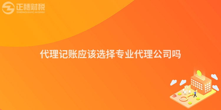 代理记账应该选择专业代理公司吗