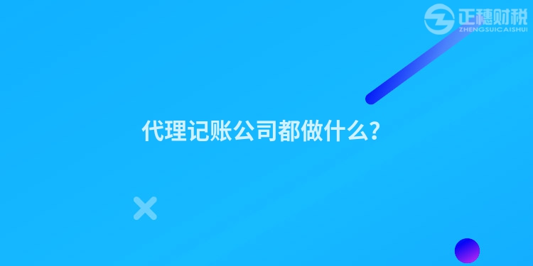 代理记账公司都做什么？