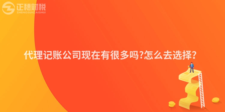 代理记账公司现在有很多吗?怎么去选择？